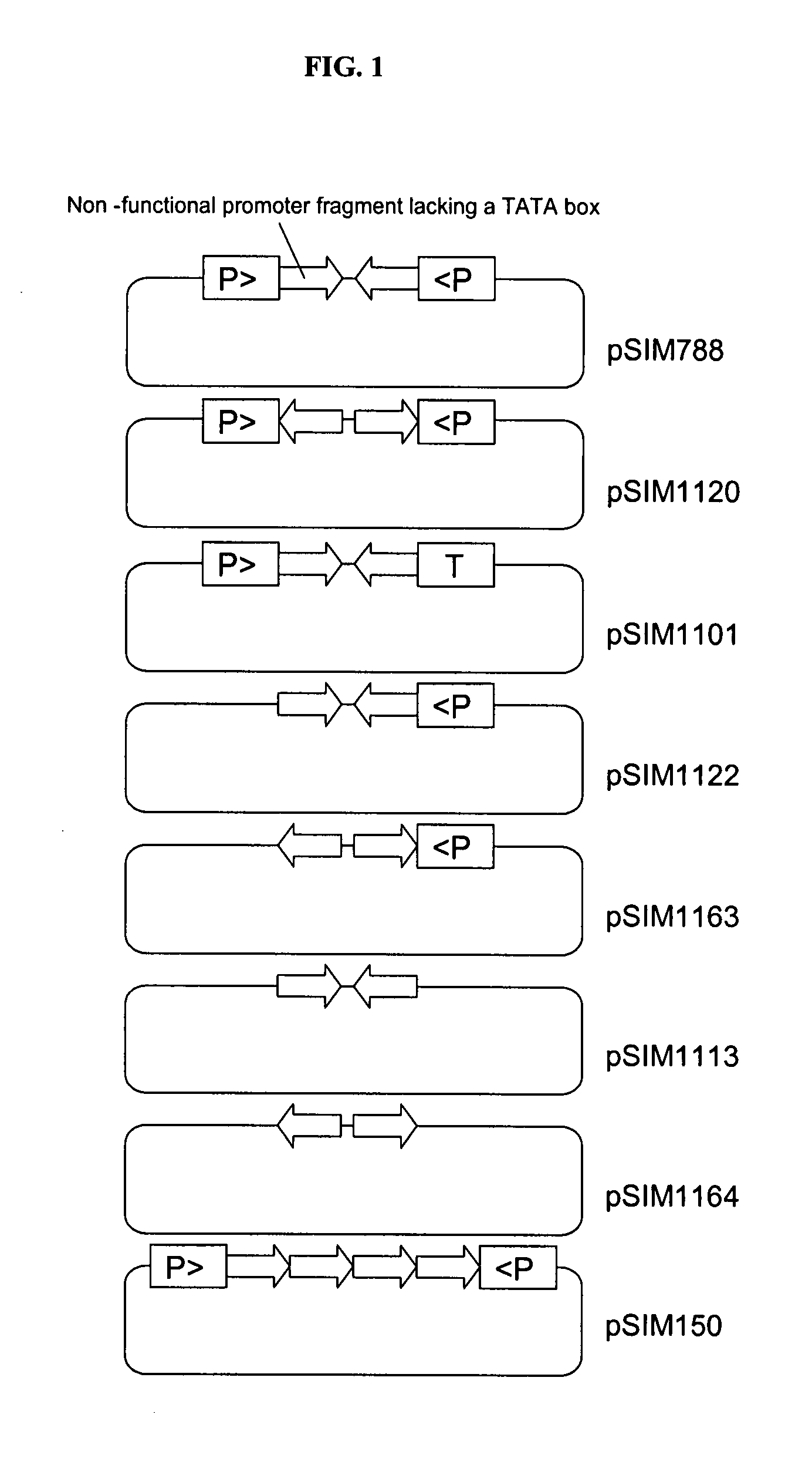 Promoter-based gene silencing