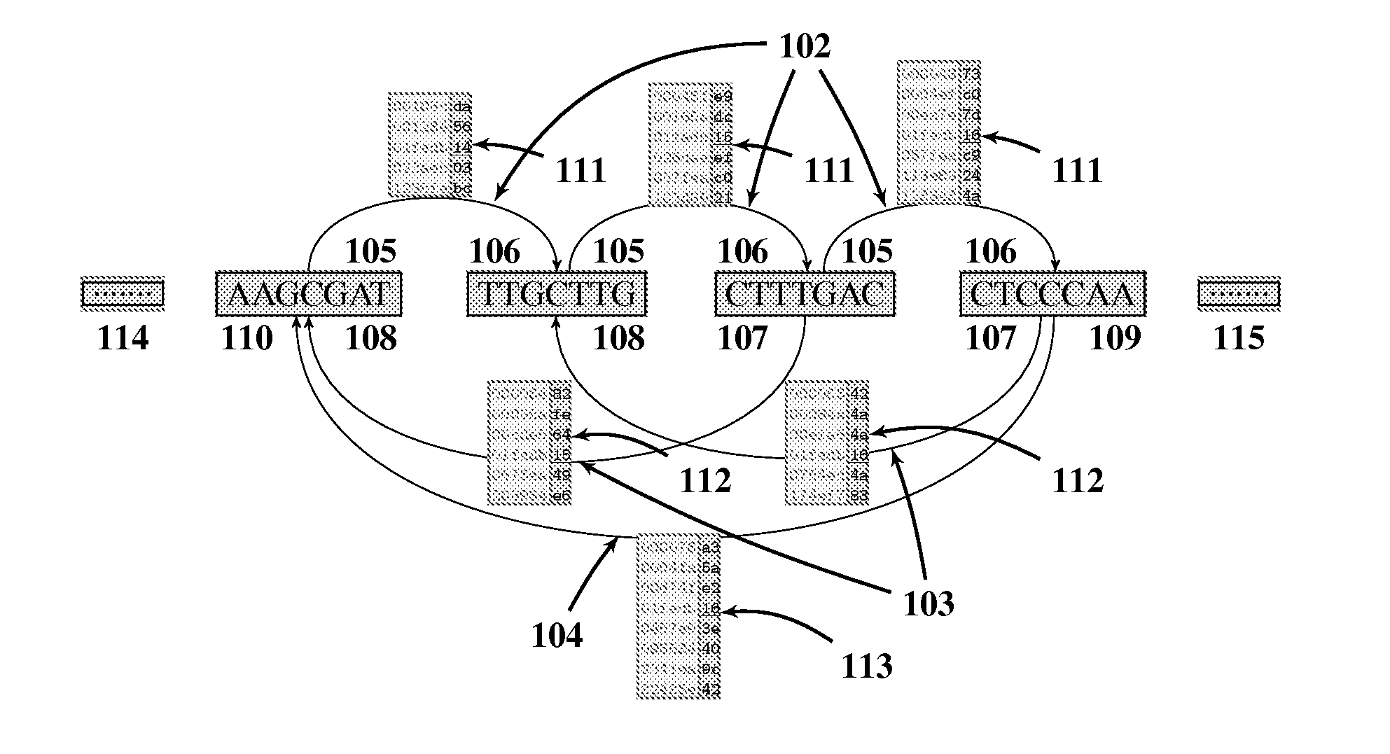 Method for rapid assessment of similarity between sequences