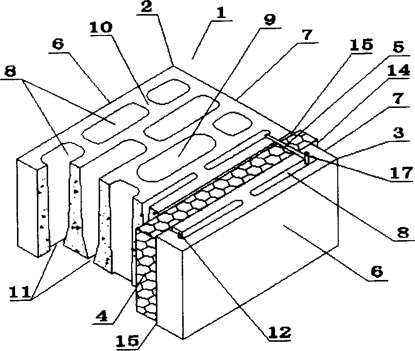 Composite heat insulation and protection brick or block and its producing and laying method
