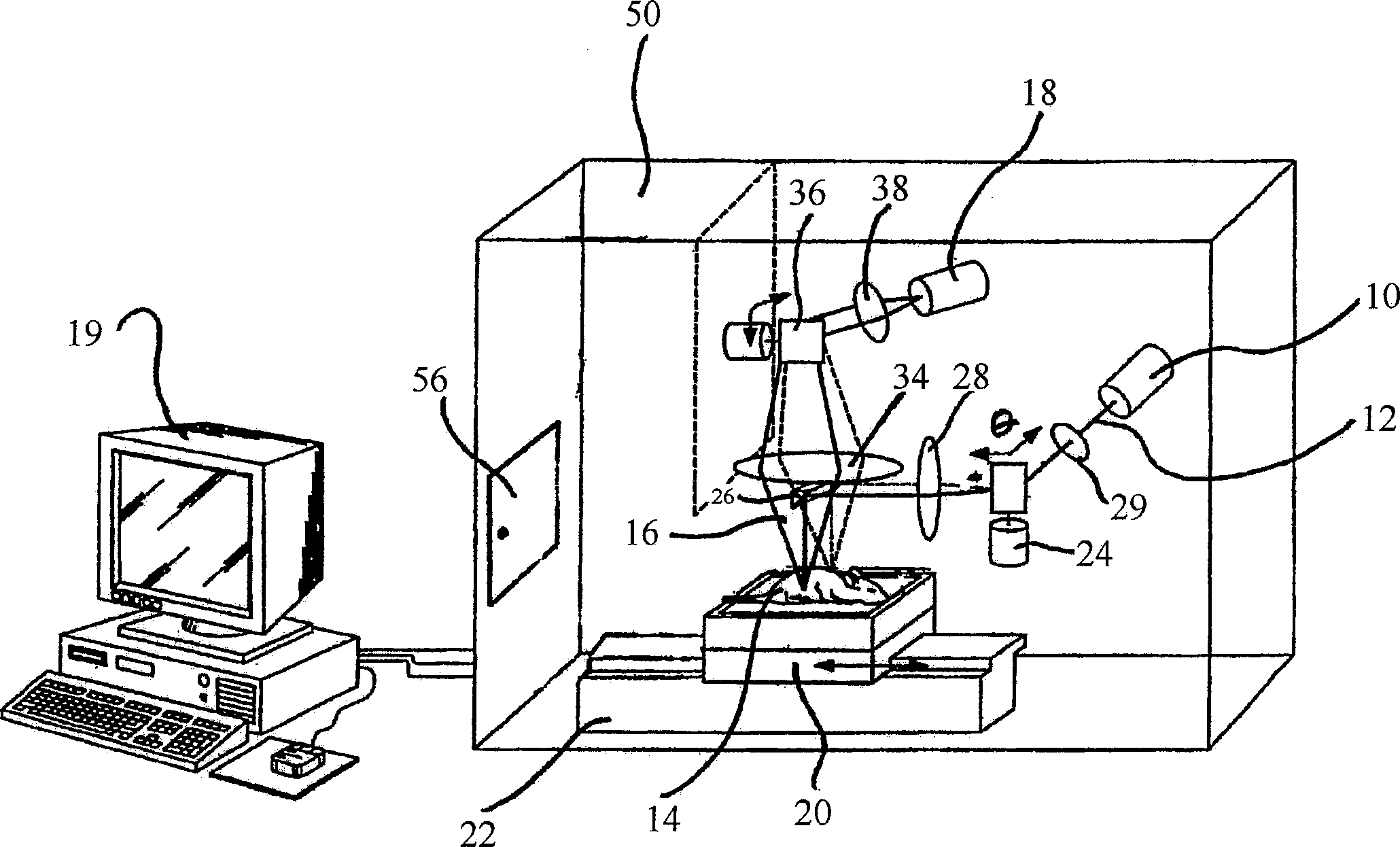 Time discrimination optics imaging method and equipment used for part biological tissues of animal body