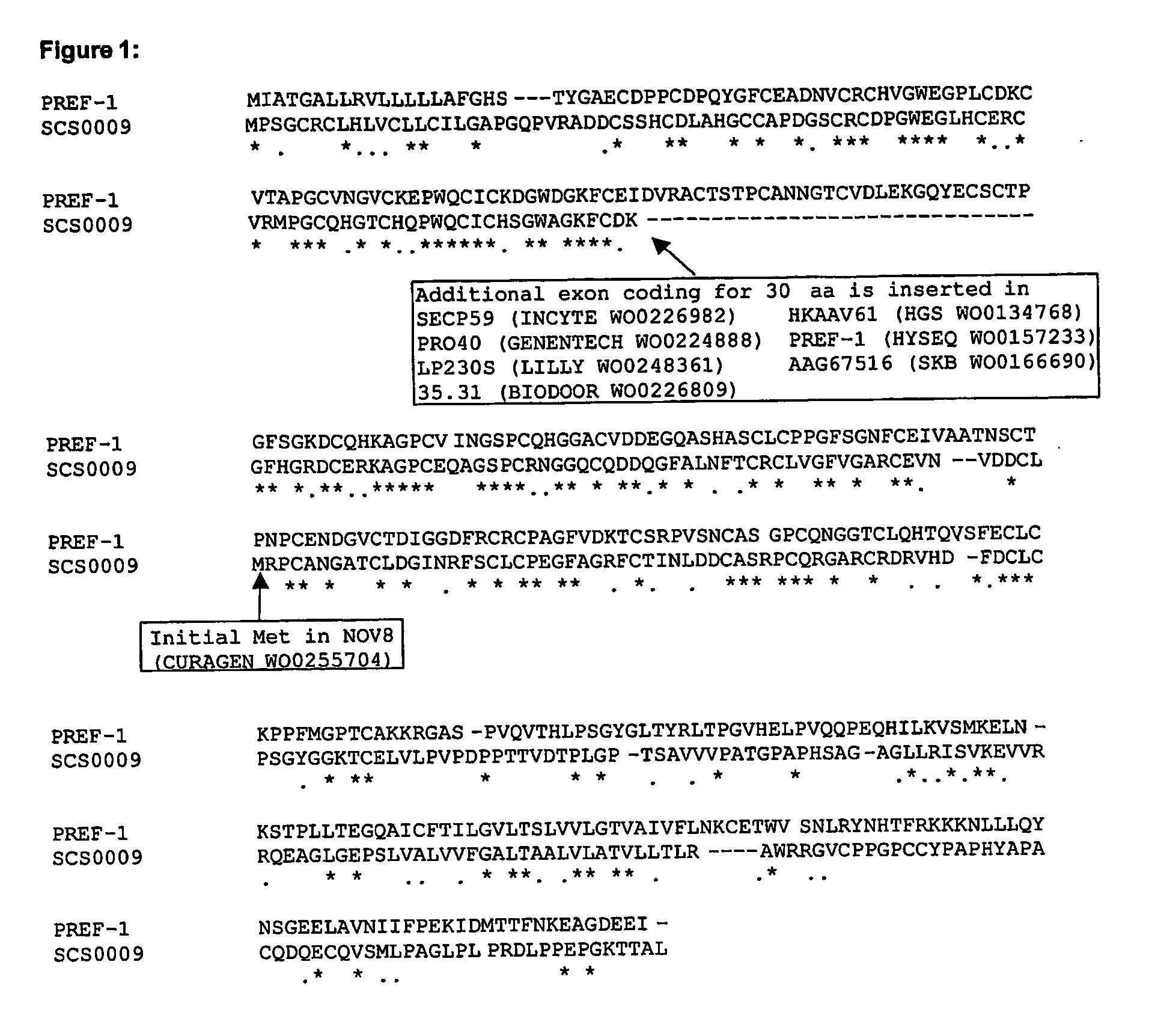 Novel preadipocyte factor-1-like polypeptides