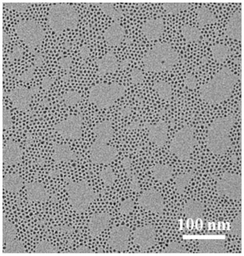 Preparation method, product and application of pH-responsive ultra-small iron oxide nanoparticle assembly