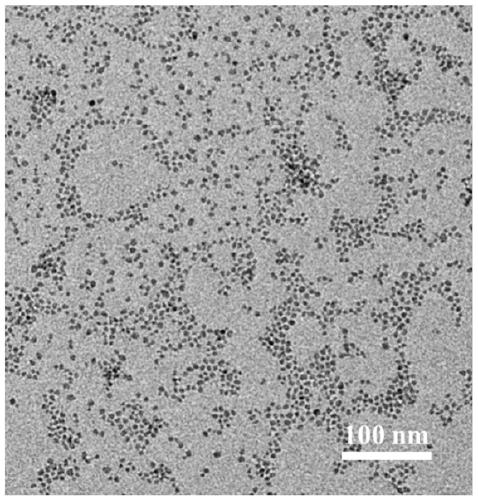 Preparation method, product and application of pH-responsive ultra-small iron oxide nanoparticle assembly