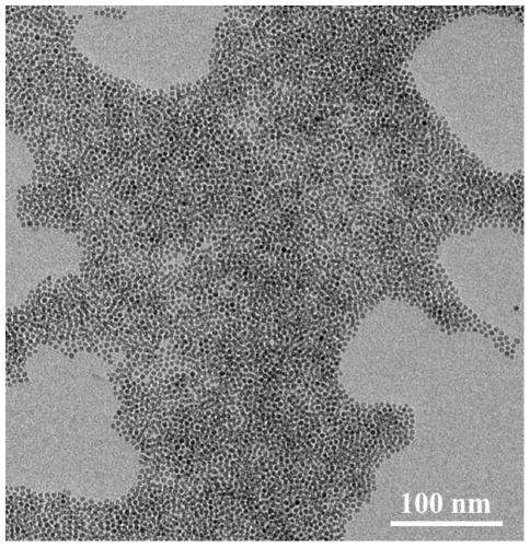 Preparation method, product and application of pH-responsive ultra-small iron oxide nanoparticle assembly