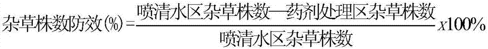 A paddy field herbicide composition containing procarbocarb and isoproturon