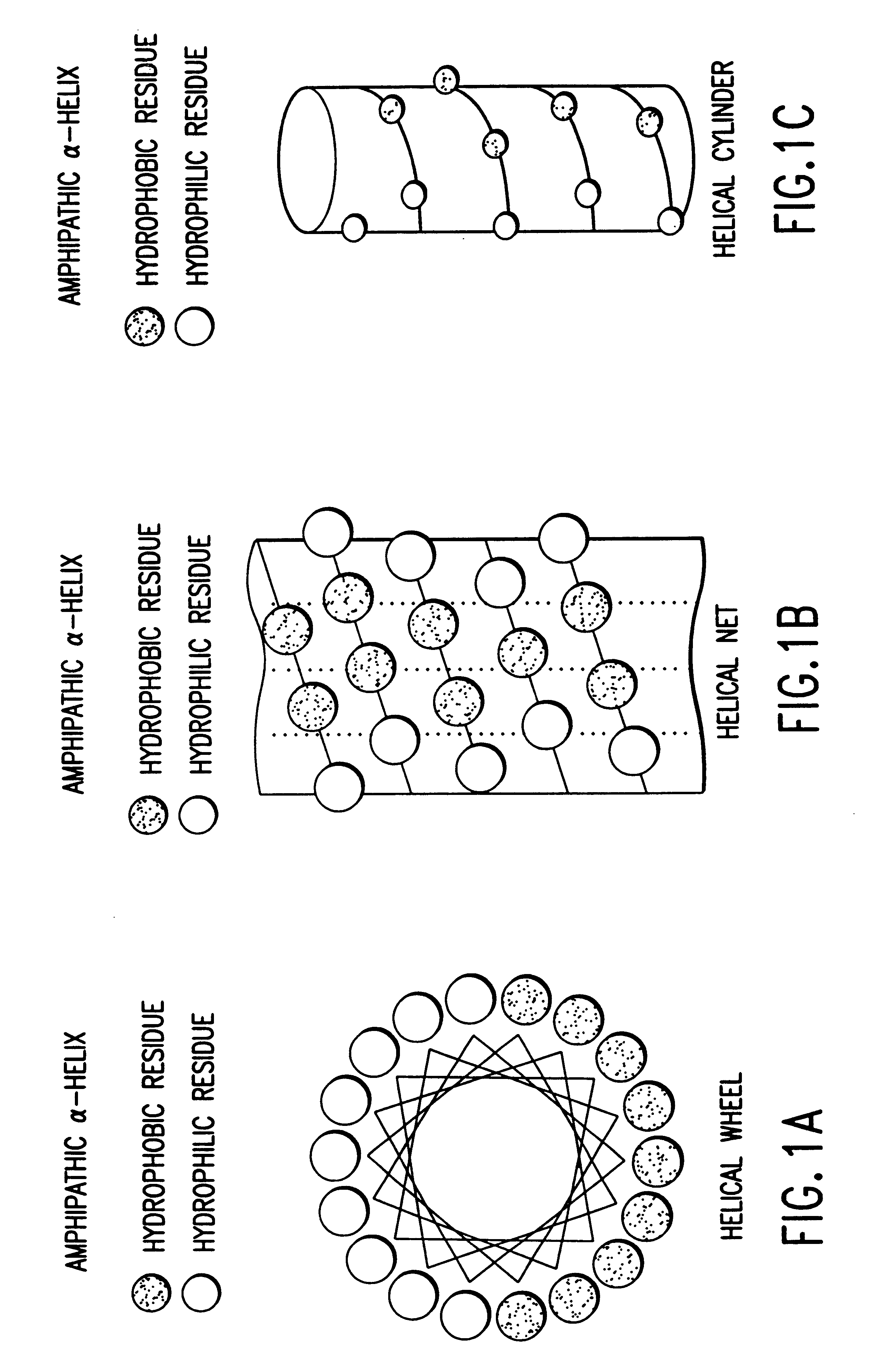 Lipid complexes of APO A-1 agonist compounds