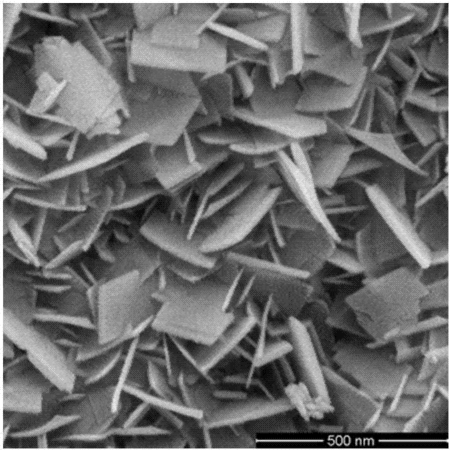 Method for preparing monocrystal bismuth titanate nanosheet