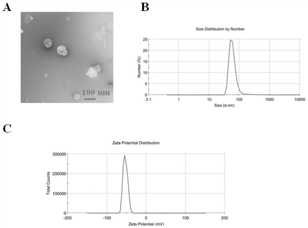 Glucagon-loaded wearable device for treating hypoglycemia