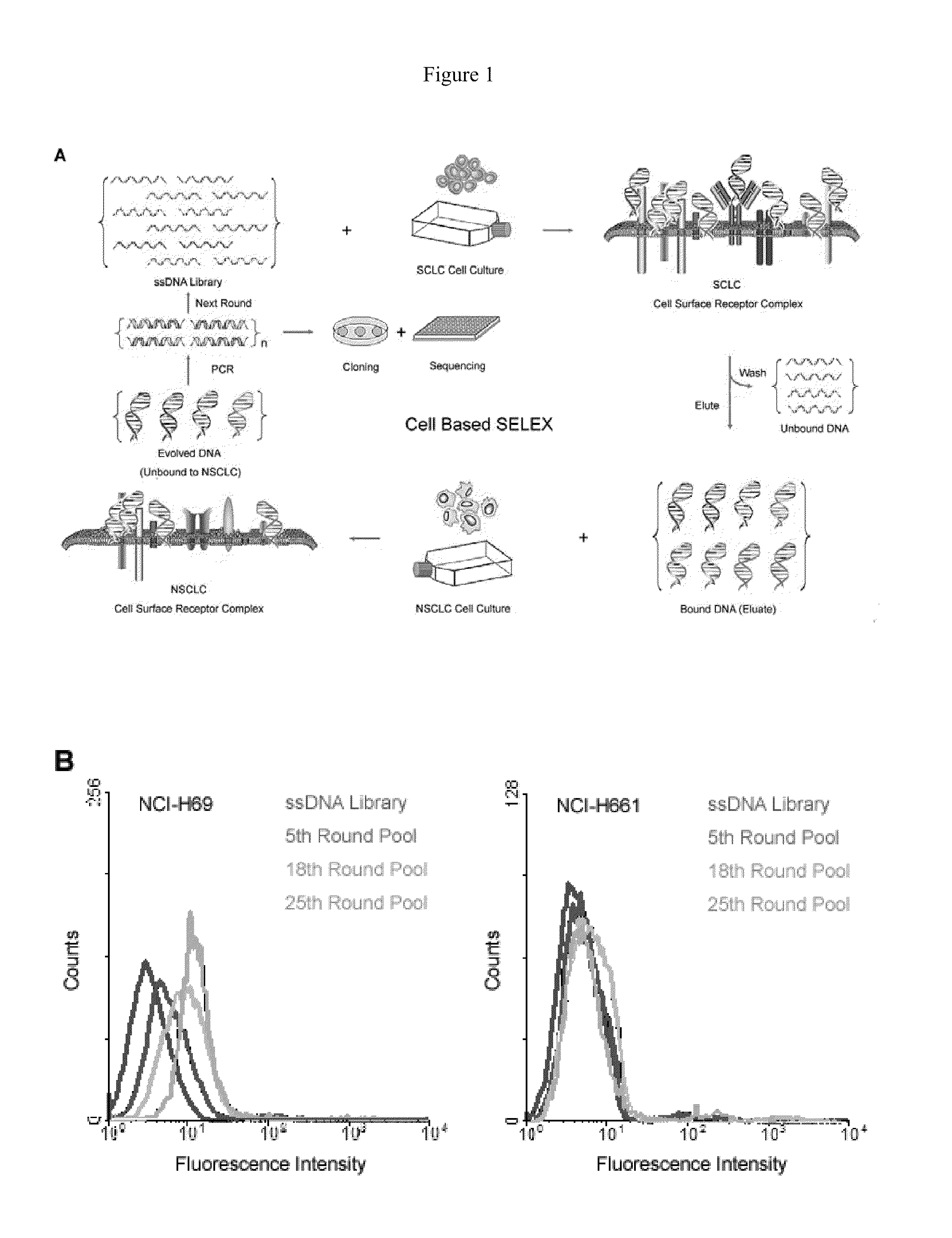 Aptamers that bind abnormal cells