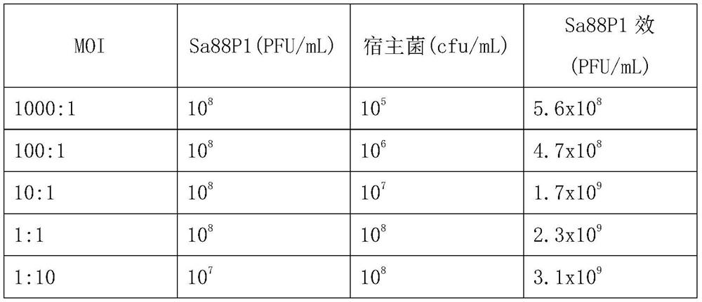 Acid-resistant and high-temperature-resistant staphylococcus aureus bacteriophage as well as composition, kit and application thereof