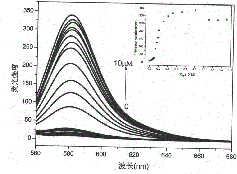Method for detecting bismuth ions by utilizing rhodamine-type fluorescent probe