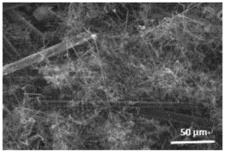 An in situ growth of Si inside 2D carbon felt  <sub>3</sub> no  <sub>4</sub> nanowire approach