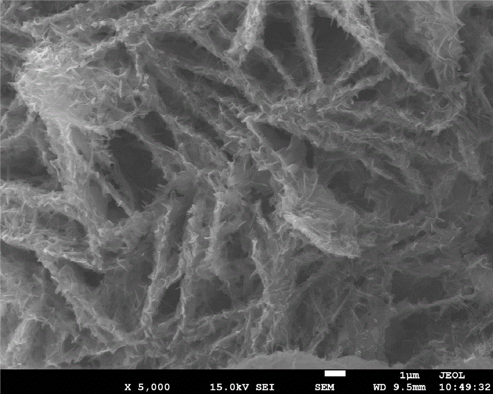 Method for preparing nano flaky nitrogen-containing porous carbon material