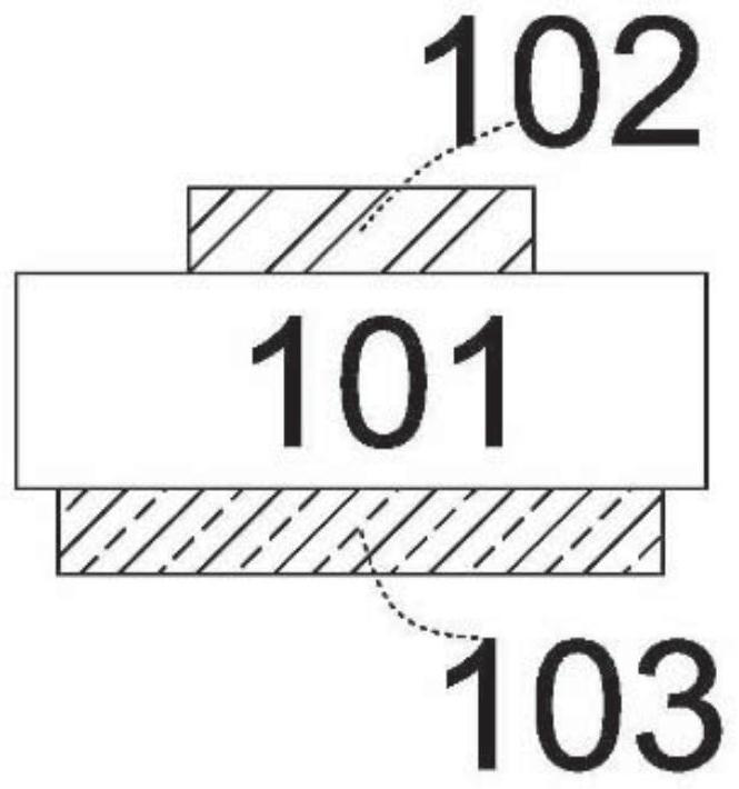 Fluid-assembled micron-sized device module and manufacturing method thereof