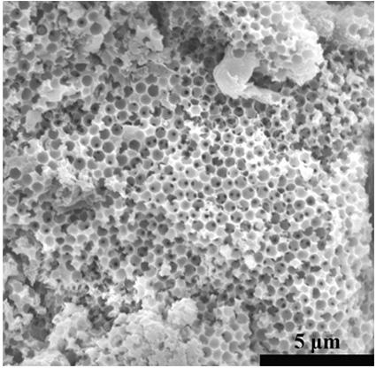 Application of three-dimensional ordered macroporous carbon nitride supported palladium catalyst in catalytic hydrogenation of styrene unsaturated copolymers