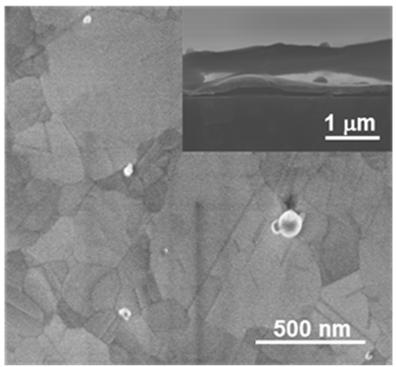 A method for fabricating upright AU nanocones with high adhesion to substrate surfaces