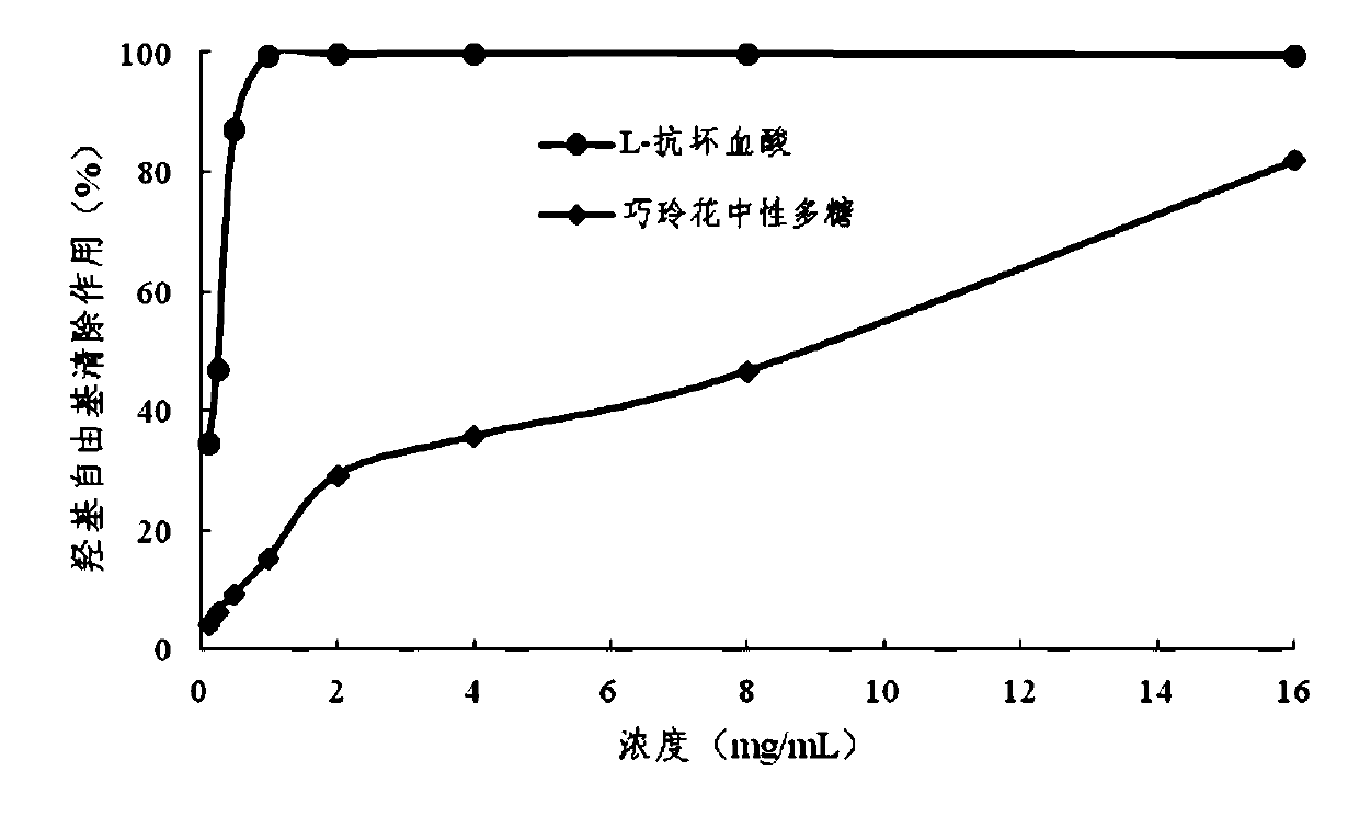 Method for preparing neutral polysaccharide from syringa pubescens turcz
