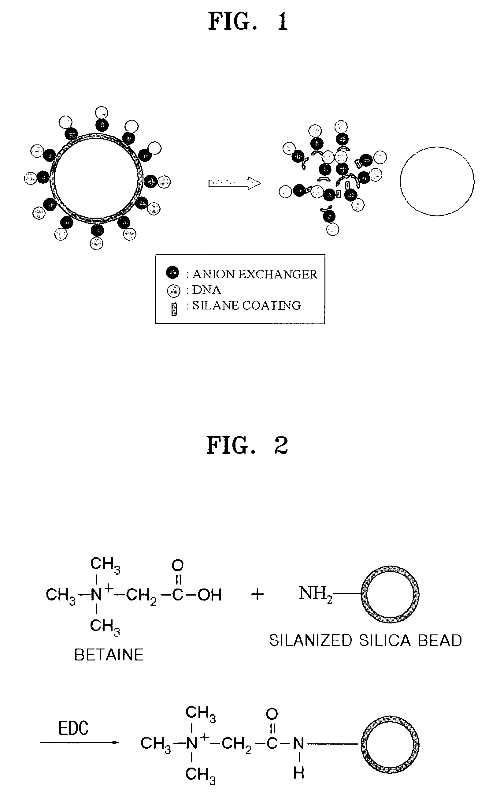 Methods of isolating and amplifying nucleic acids using silanized solid support