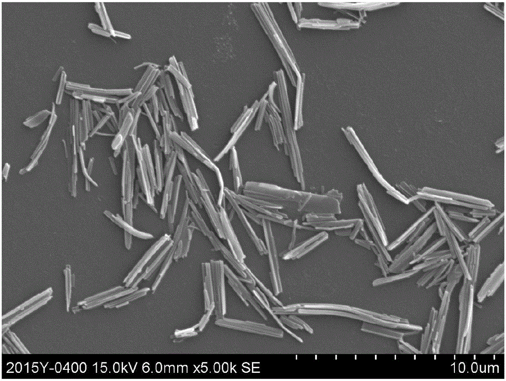 Preparation method of silver behenate and direct thermal imaging recording material prepared through silver behenate