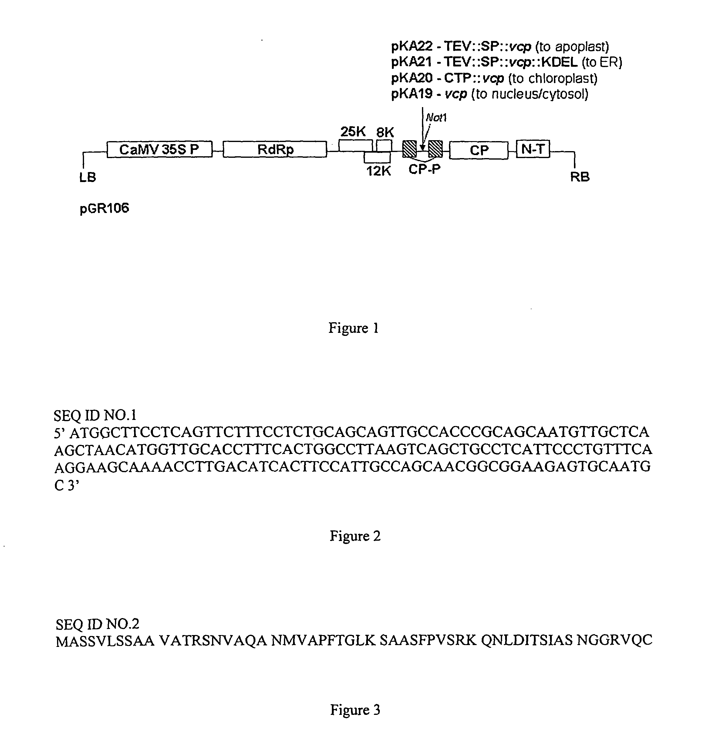 Methods and Compositions for Expressing Proteins In Plants