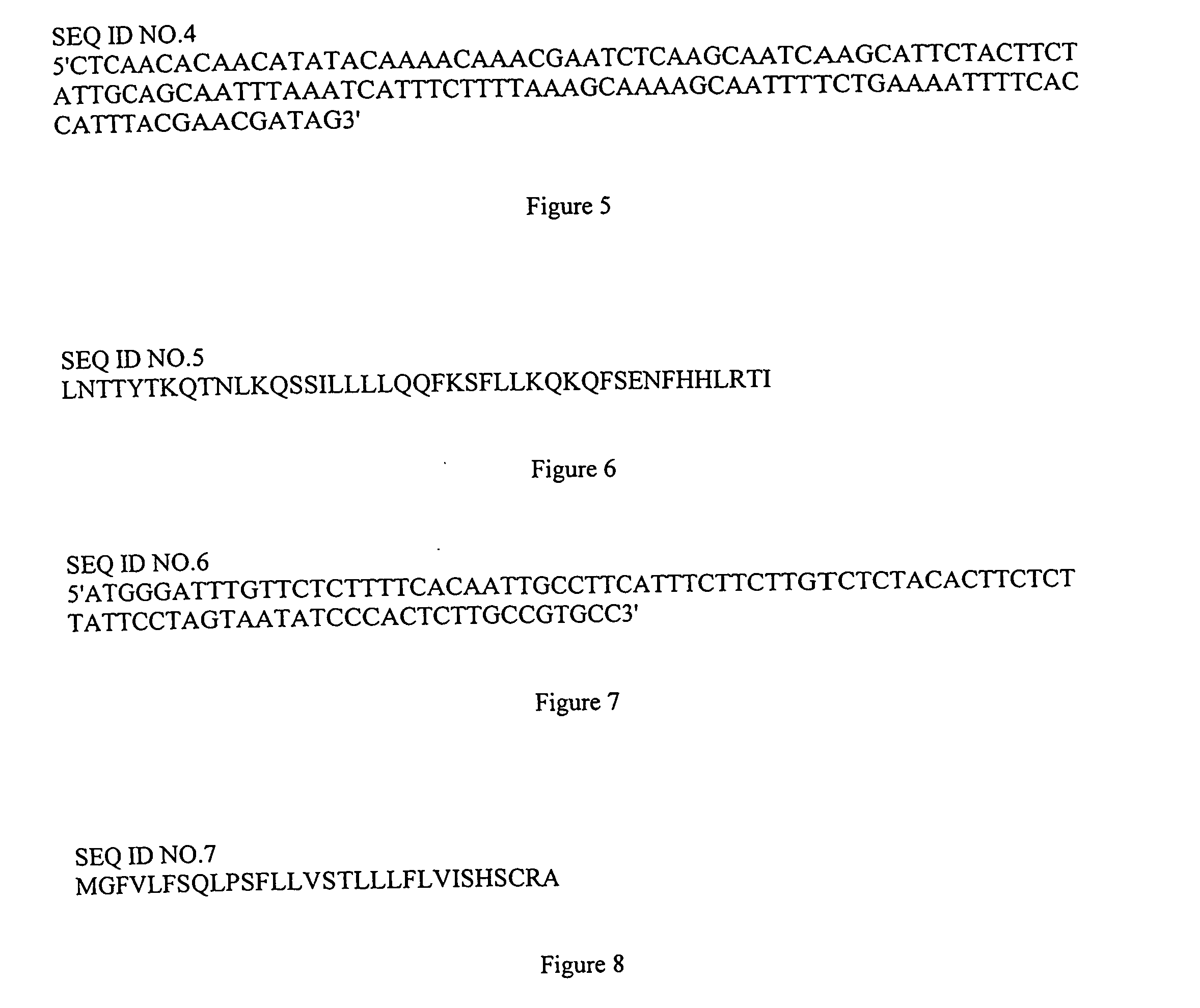 Methods and Compositions for Expressing Proteins In Plants