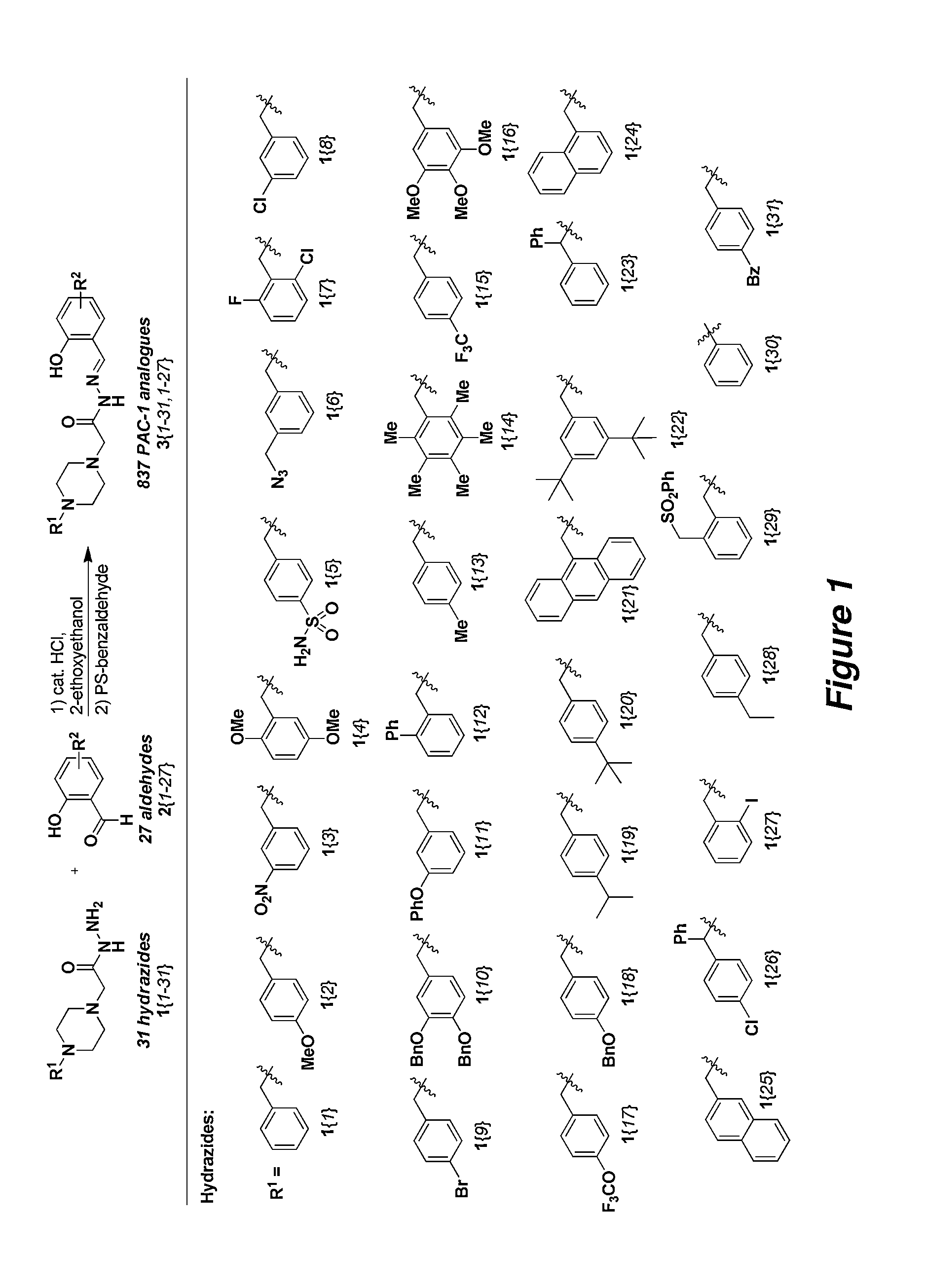 Procaspase-activating compounds and compositions