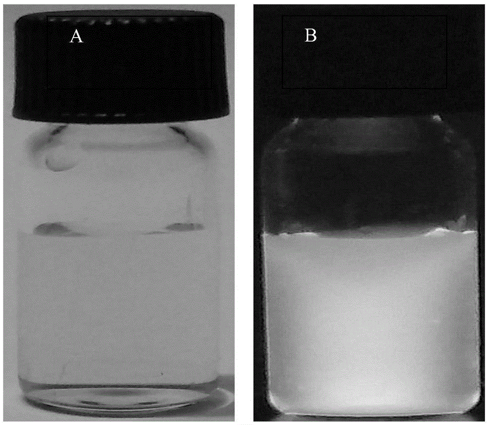 Sulfur-doping graphene quantum dot, preparation method of sulfur-doping graphene quantum dot and application of lead ion detection