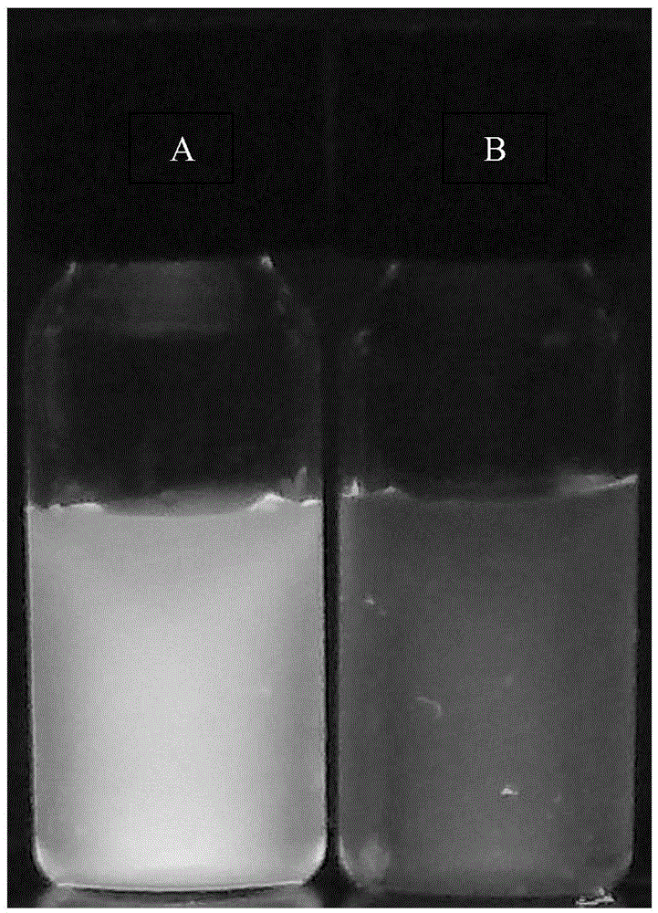 Sulfur-doping graphene quantum dot, preparation method of sulfur-doping graphene quantum dot and application of lead ion detection