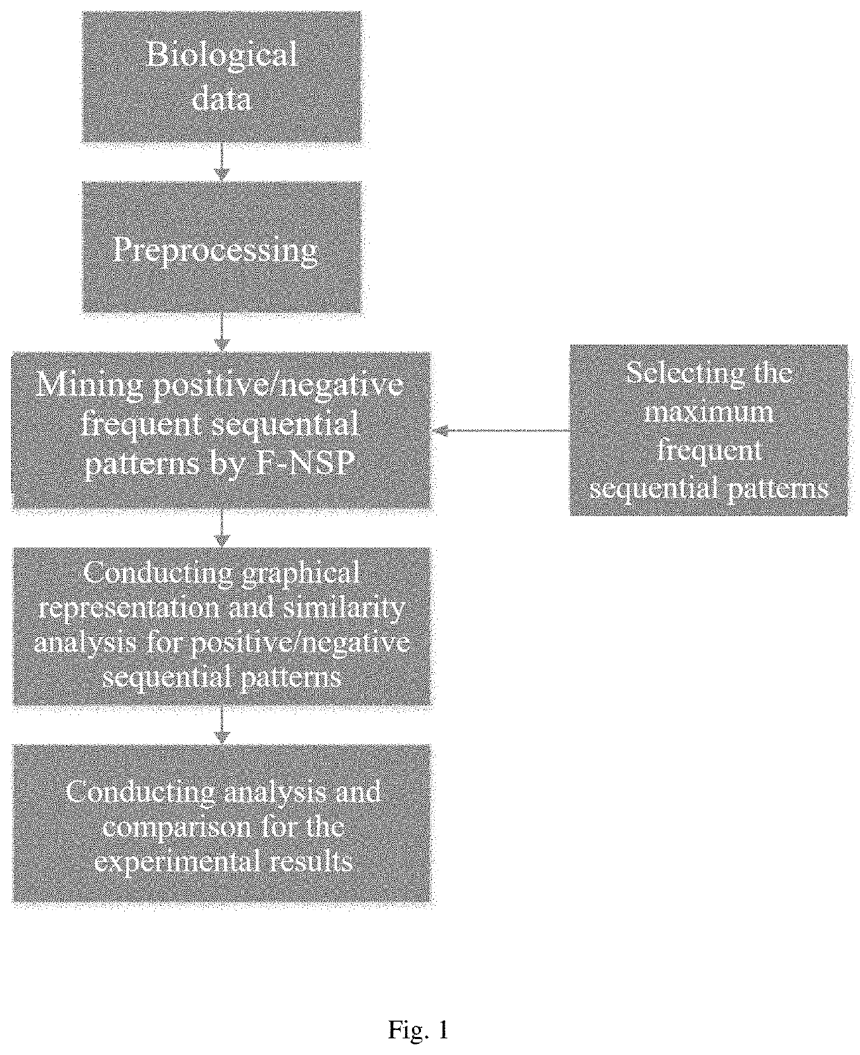 Similarity analysis method of negative sequential patterns based on biological sequences and its implementation system and medium