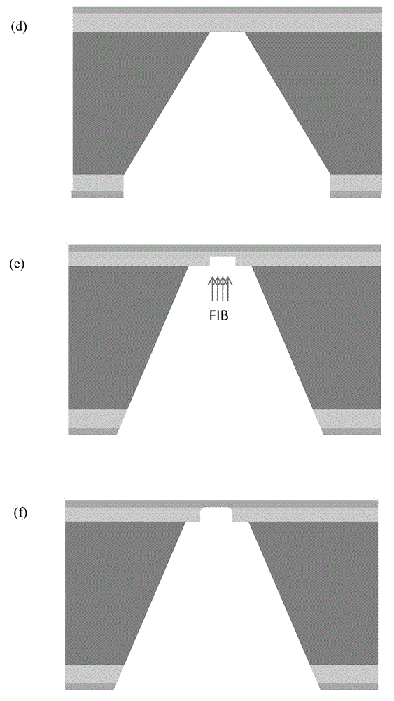 Detection method for biomolecular probe-calibrated specific sites of DNA based on nanopore device