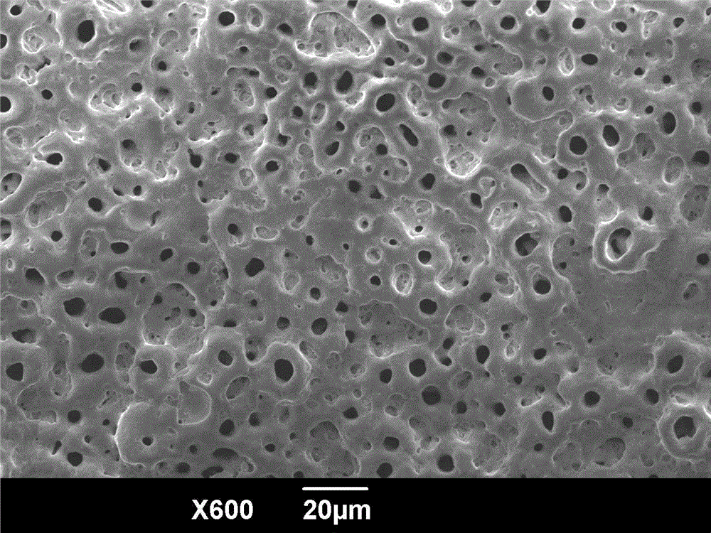 Preparation method for bioactive ceramic membrane on surface of tantalum metal