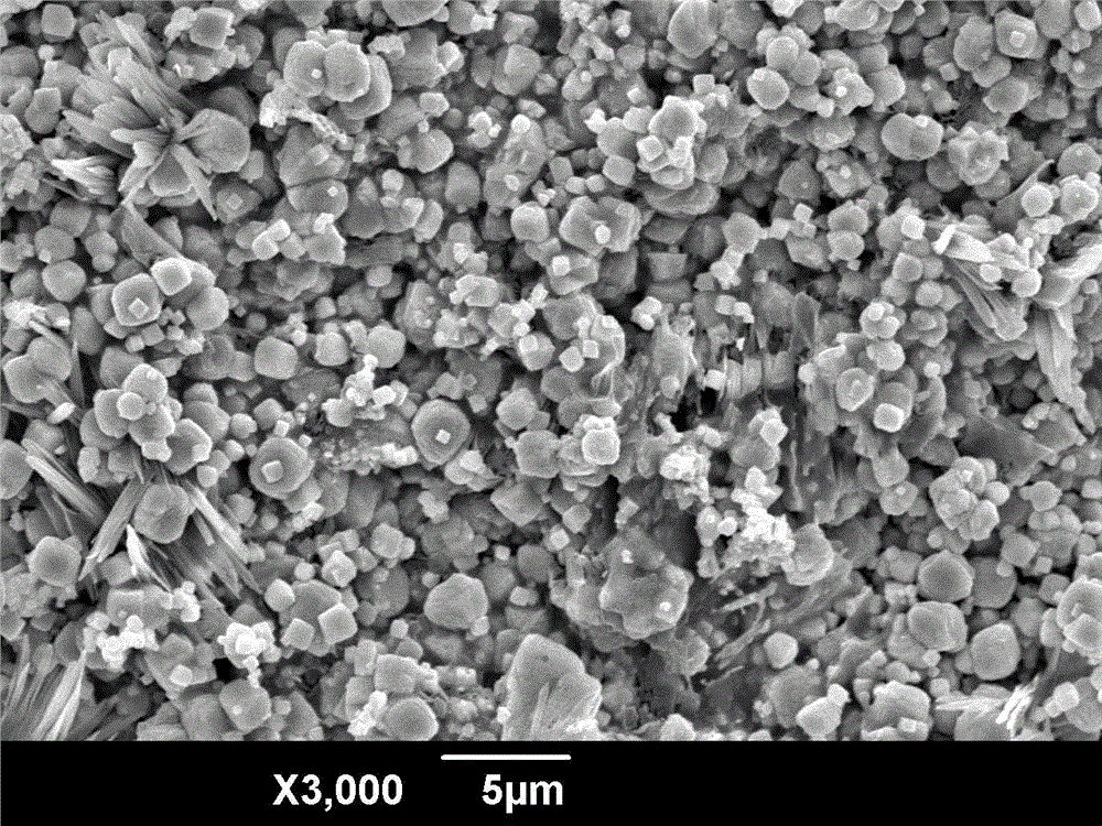 Preparation method for bioactive ceramic membrane on surface of tantalum metal