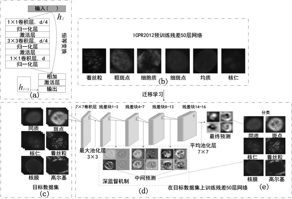 A cell classification method and system based on deep residual network