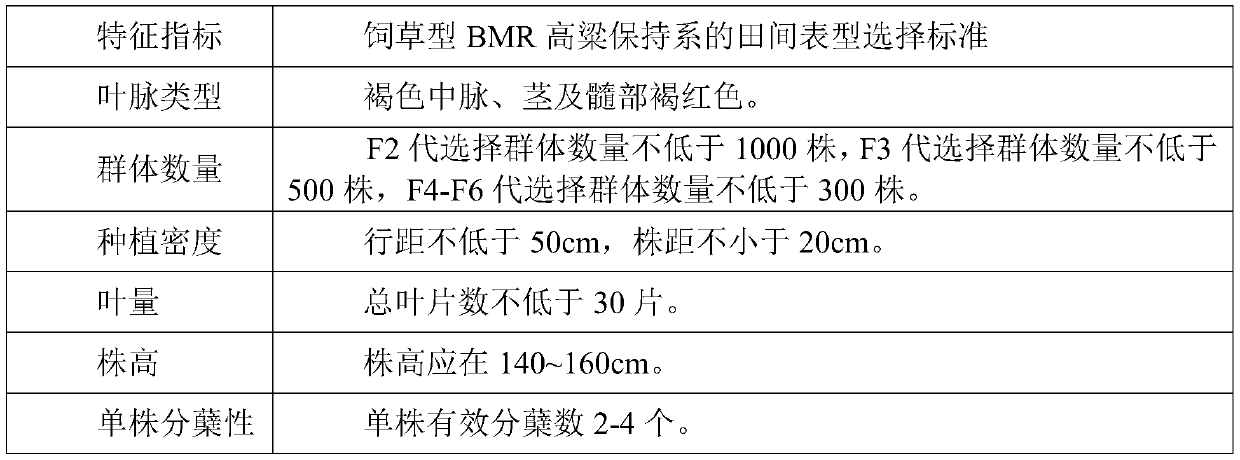 Breeding method of forage-type BMR sorghum sterile line