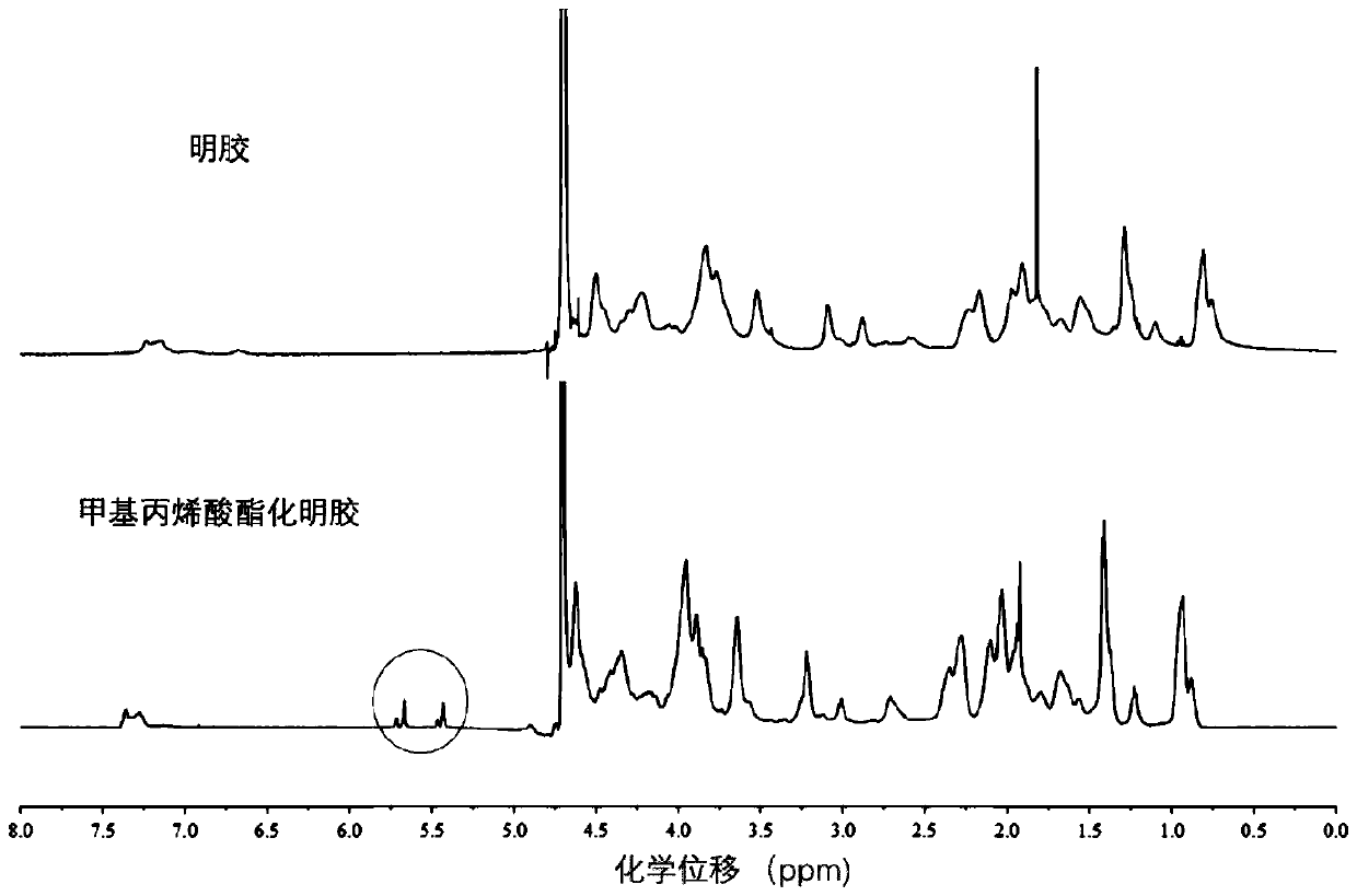 Traditional Chinese medicinal exosome-loaded compound dressing with effects of promoting wound healing and regeneration and preparation method of compound dressing