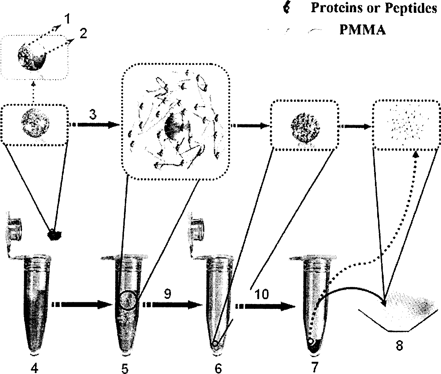 Method for fast enriching trace polypeptide and protein and realizing identification
