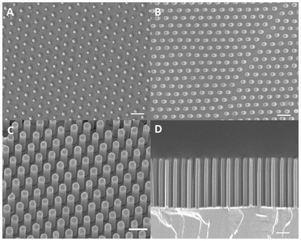 A periodic crescent-shaped nano-gap array and its preparation method