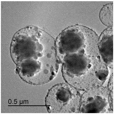Preparing method of hollow magnetic carbon nanospheres with MOFs growing inside in confinement mode