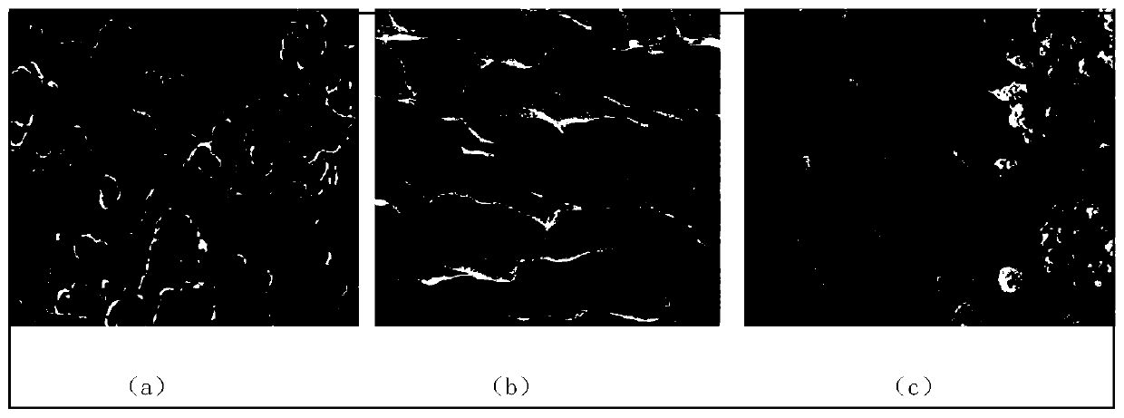 Polypyrrole bioconductive hydrogel and its preparation method and application