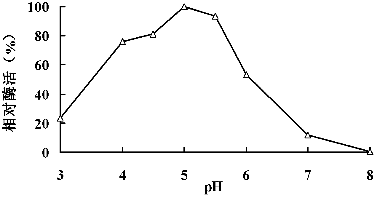 Acidic beta-glucanase P-Bglu16A, and gene and application thereof