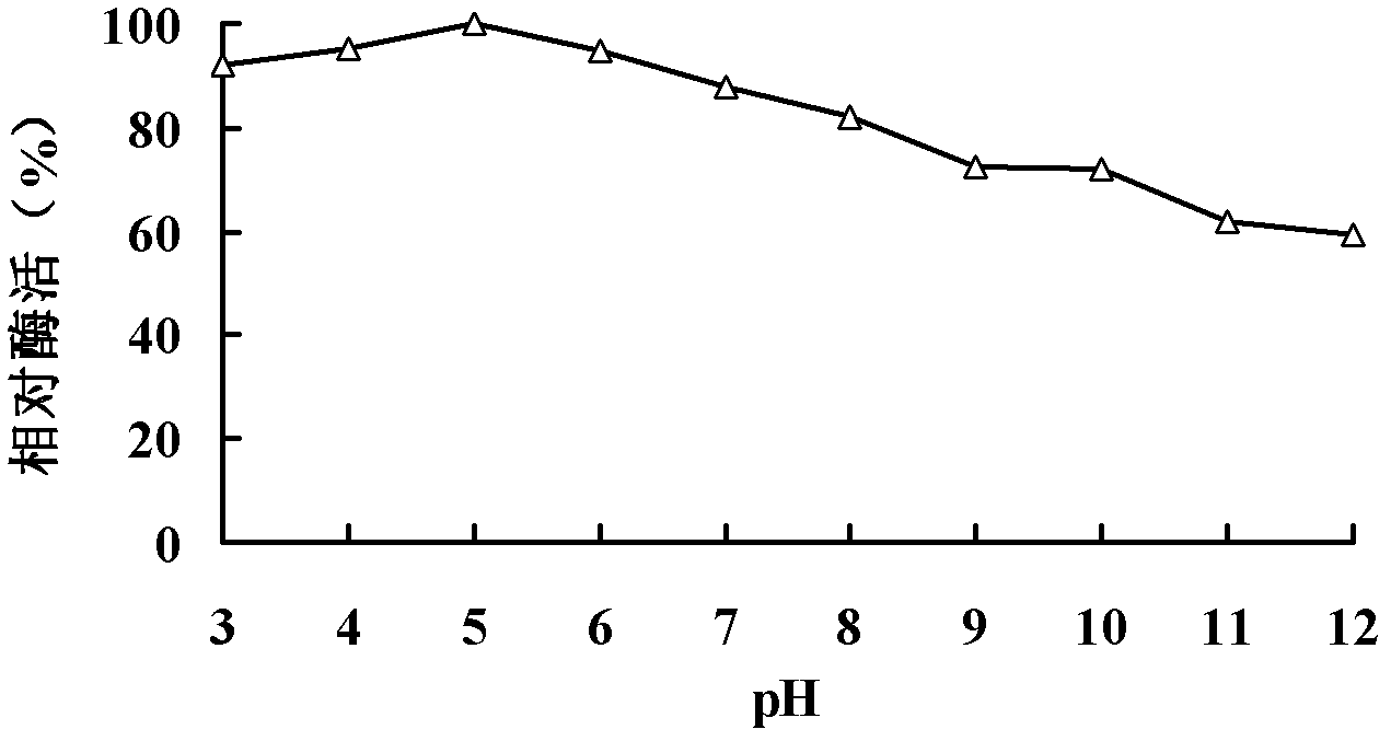 Acidic beta-glucanase P-Bglu16A, and gene and application thereof