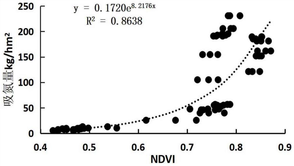 Method for constructing cauliflower spectral nitrogen nutrition diagnosis model