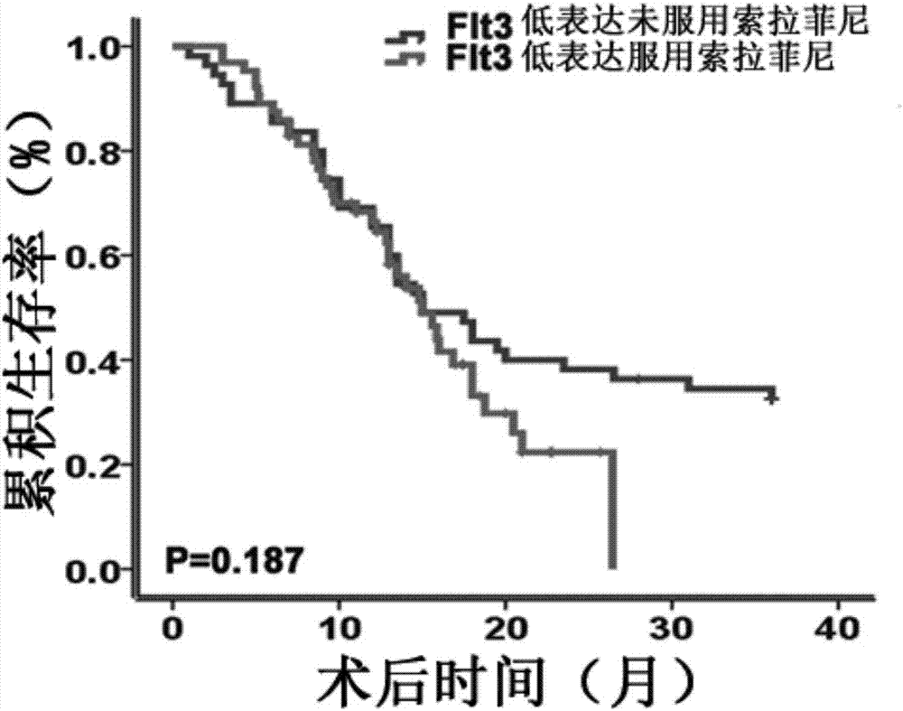 Application of flt3 protein in the preparation of a kit for evaluating the efficacy of sorafenib in liver cancer