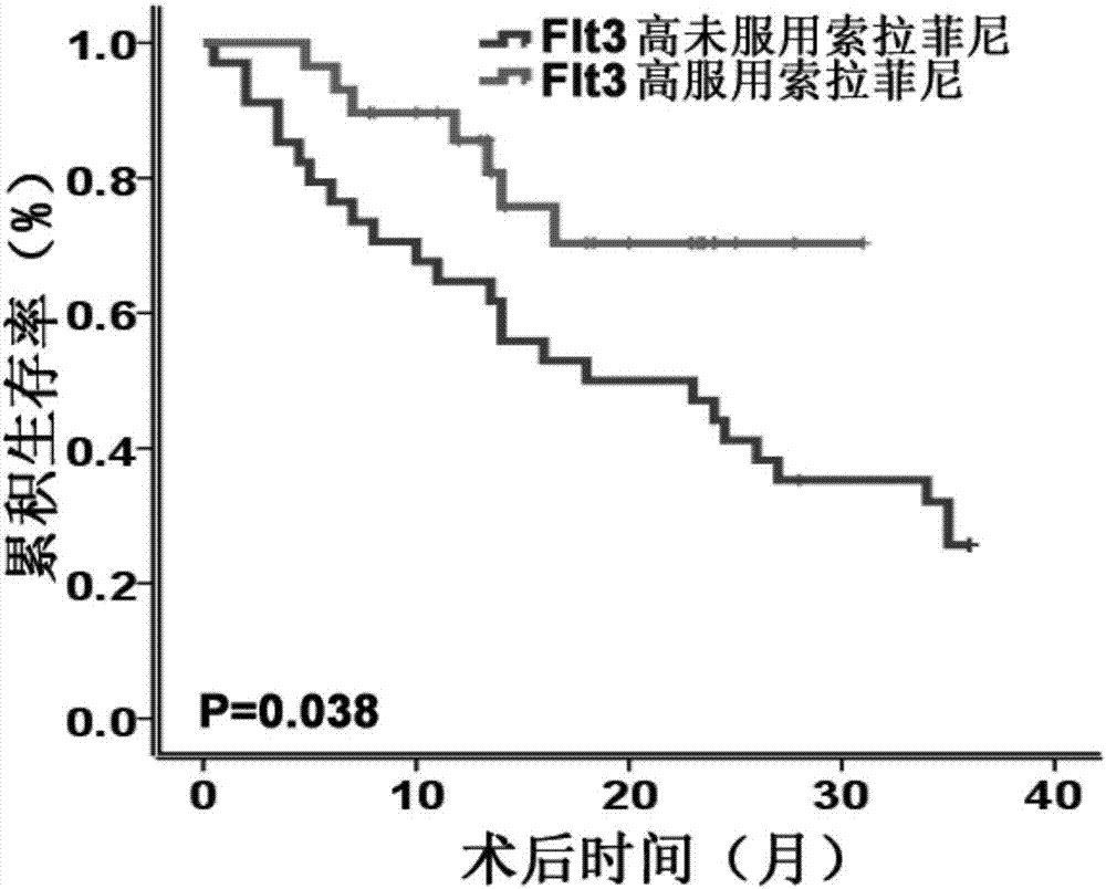 Application of flt3 protein in the preparation of a kit for evaluating the efficacy of sorafenib in liver cancer