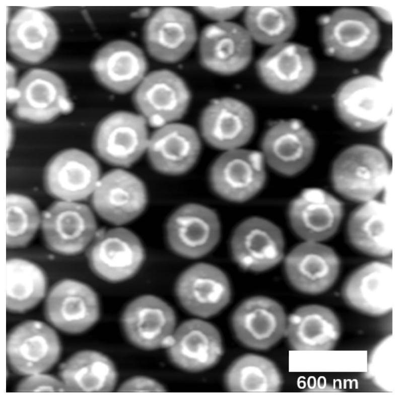 Preparation method of high-quality metal nanodot array