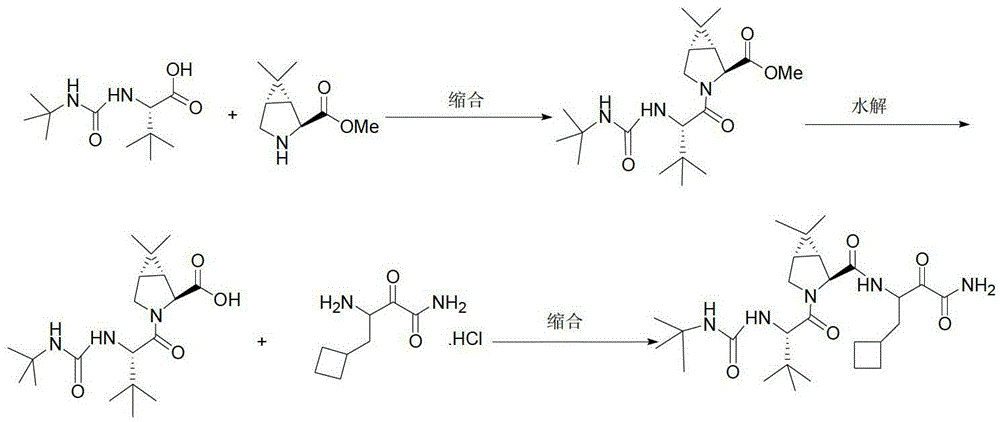 Anti-HCV drug Boceprevir intermediate II preparation method and application thereof