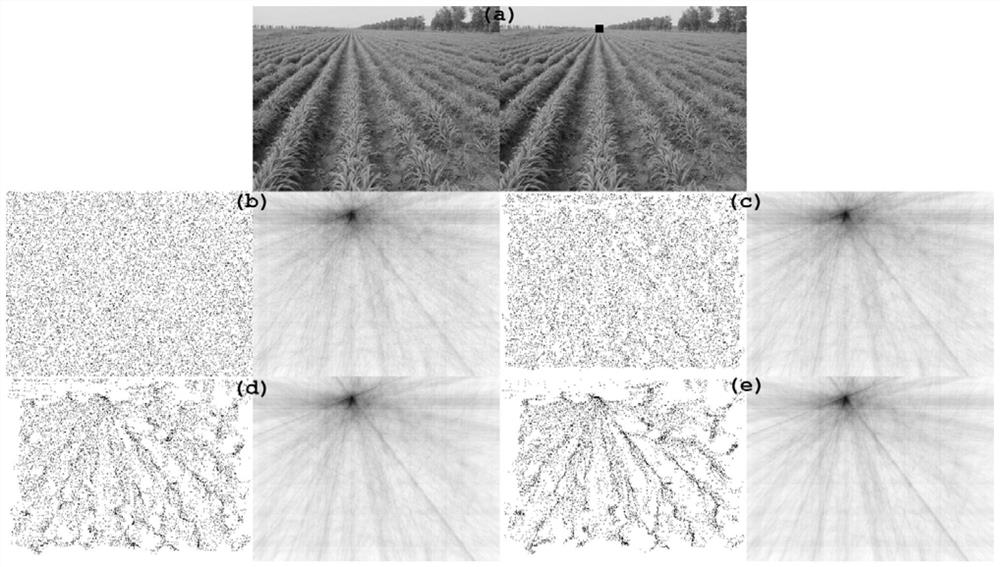 A Preprocessing Method for Drill Crop Row Extraction Based on Vanishing Point