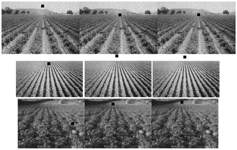 A Preprocessing Method for Drill Crop Row Extraction Based on Vanishing Point