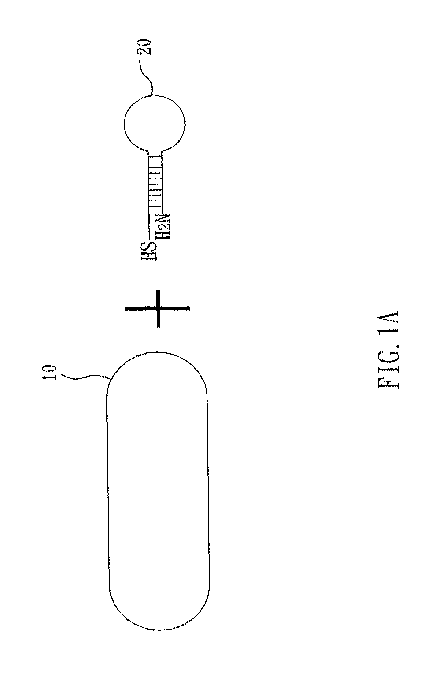Nucleic acid cleavage complex and method for using the same