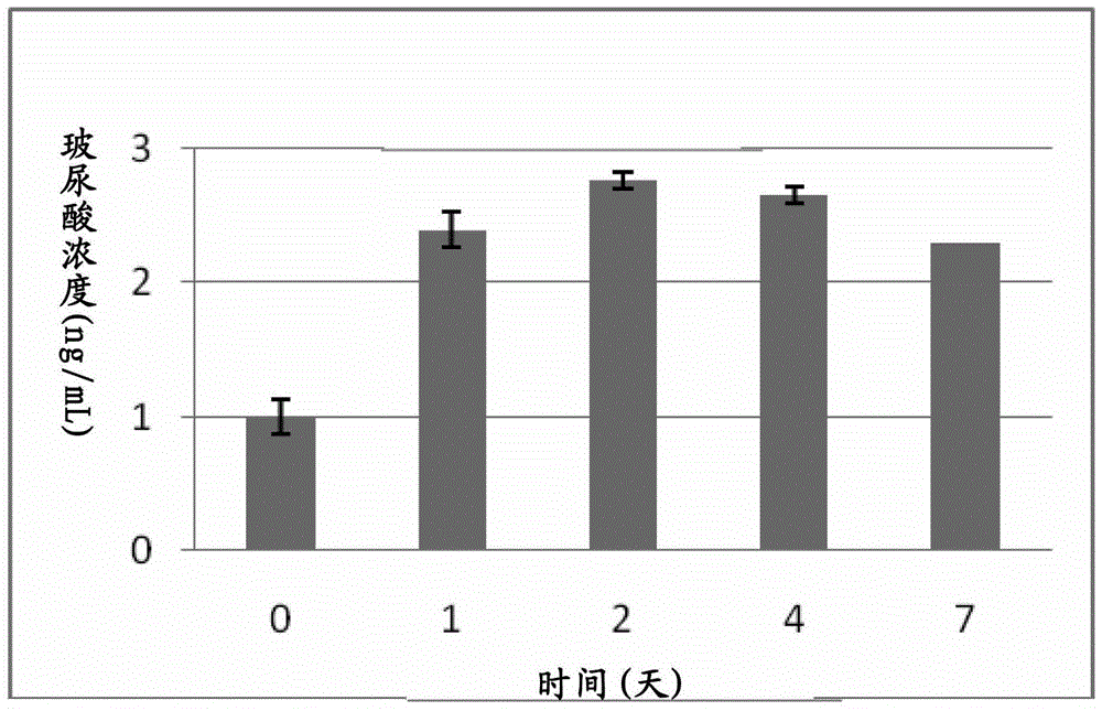 Probiotic strains producing hyaluronic acid and uses thereof